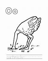 Ostrich Coloring Oboe Worksheet Letter Pages Printable Getcolorings Spirituality Popular Worksheeto sketch template
