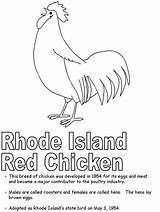 Coloring Symbols Pages Rhode Island Red Chicken State Comments Printables States United Ws Geography Rhodeisland Kidzone Usa sketch template