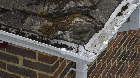 gutter inspection  photographic  mast