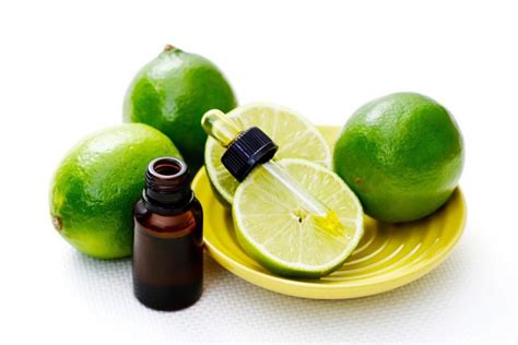 lime oil lime essential oil   potential phototoxicity