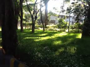 mini forest  bangalore  joggers park  indian wire