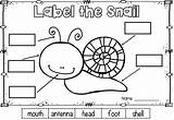 Snail Kindergarten Spring Kaynak sketch template
