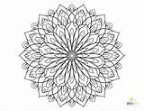 Coloring Flowers Pages Hard Flower Adults Adult Dahlia Color Printable Drawing Number Thistle Getdrawings Kids Sheets Getcolorings Difficult Designlooter Drawings sketch template