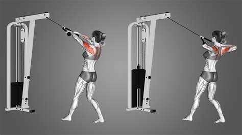 cable rear delt row benefits muscles worked   inspire