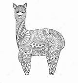Llama Coloring Mandala Alpaca Pages Drawing Peru Printable Llamas Kawaii Adult Zentangle Cute Template Book Animals Paintingvalley Choose Board Google sketch template