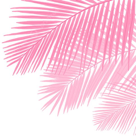 palm leaf shadow png image palm leaf abstract art shape pink shadow