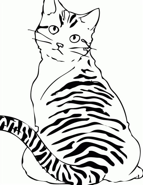 cat  printable coloring pages