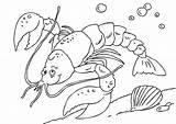 Hummer Langosta Aragosta Homard Kreeft Dibujo Malvorlage Kleurplaat Coloriages Animaux Stampare Grandes Educima Lobster Kleurplaten Ausdrucken sketch template