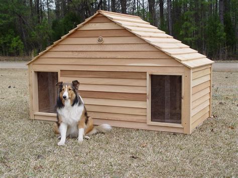 dog sitting  front   wooden house