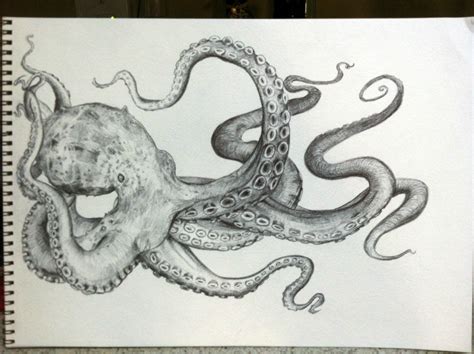 giant octopus drawing  getdrawings
