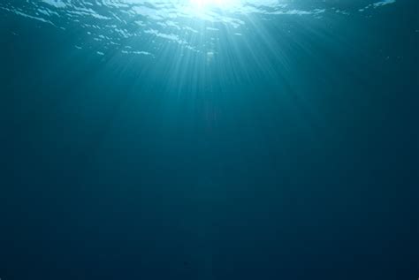 deep underwater wallpaper wallpapersafari