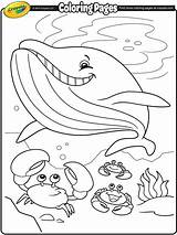 Coloring Pages Whale Crayola Summer Kids Printable Color Christmas Sea Sheets Under Template Print 색칠 도안 Book Getcolorings 여름 Alive sketch template