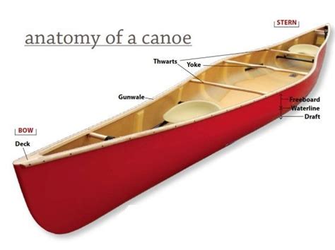 anatomy   canoe canoe canoe  kayak canoe gear