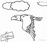 Eagle Bald Coloring Pages Printable Kids Harpy Cool2bkids Getcolorings sketch template