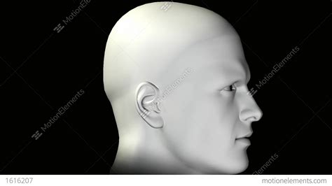 man rotating human head stock animation