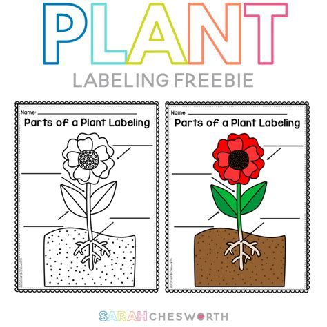 parts   plant labeling freebie sarah chesworth