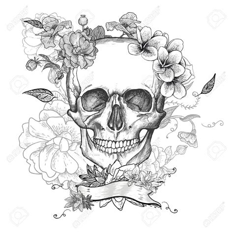 pin  elisabeth quisenberry  drawing ideas skull coloring pages
