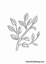 Branches Iheartcraftythings sketch template