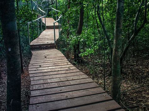 canopy walk outback adventures