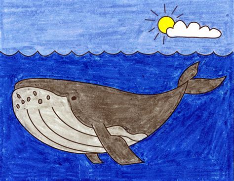 draw  humpback whale