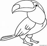 Toucan Coloringall sketch template