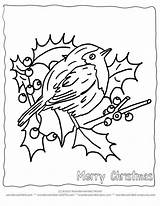 Christmas Coloring Pages Printable Bird Birds Print Cards Card Clipart Wildlife Echo Winter Clip Tweety Sheets Robins Turkey Wonderweirded Popular sketch template