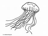 Jellyfish Coloring Pages Simple Printable Kids Color sketch template
