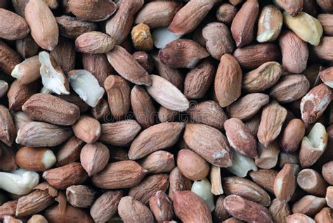 peanuts stock photo image  macro allergen nutty