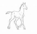 Foal Horse Deviantart Lineart Drawing Coloring Pages Drawings Line Horses Animal Chronically Vii Pt Running Simple Sketch Choose Board Paintingvalley sketch template