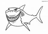 Hai Malvorlage Ausmalbilder Ausmalbild Haie Vorlage Weißer Lachender Piraten sketch template