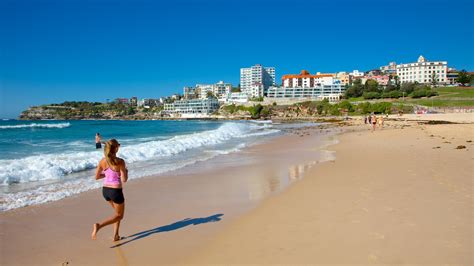 bondi beach nsw holiday accommodation flats and apartments and more stayz