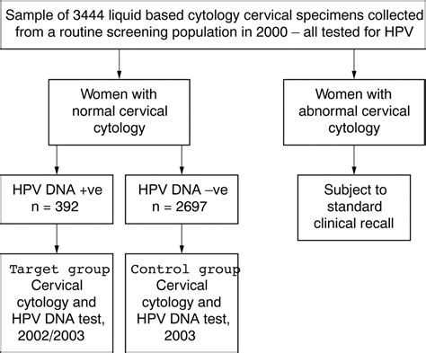 Persistent High Risk Hpv Infection Associated With Development Of