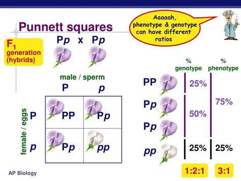 ppt genetics and the work of mendel powerpoint presentation free