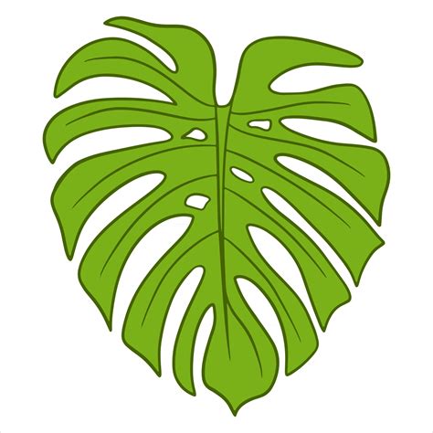 plantas tropicales exoticas hojas verdes talladas en estilo de dibujos animados  vector
