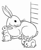 Coloring Pages Pets Pet Family Rabbit Kids sketch template
