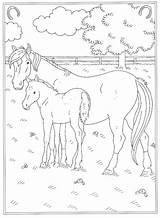 Kleurplaat Veulen Paard Paarden Kleurplaten Reitschule Printen Manege Malvorlagen1001 Stal Kleurplatenl Malvorlage sketch template