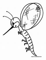 Mosquito Coloring Pages Colormegood Animals sketch template