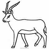 Antilope Antelope Colorare Disegni Ausmalbilder Gazelle Kart Ultracoloringpages Pngkey sketch template