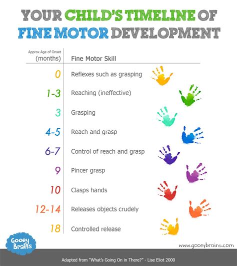 child development motor skills    expect