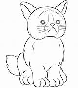 Grumpy Gato Brinquedos Grump sketch template