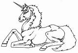 Unicorn Lying Pages Down Coloring Color sketch template