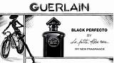 Guerlain Perfecto Robe Noire Limites Discours Scentertainer Parfumerie sketch template