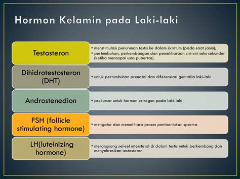 Sistem Reproduksi Manusia Ppt Download