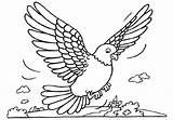 Burung Pigeon Mewarnai Coloring Duiven Merpati Kleurplaten Dara Pigeons Animasi Tauben Duif Colorare Malvorlagen Coloriages Kleurplaat Animaatjes Terbang Paud Piccioni sketch template