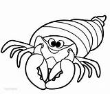 Crab Hermit Coloring Pages Kids Printable Cool2bkids sketch template