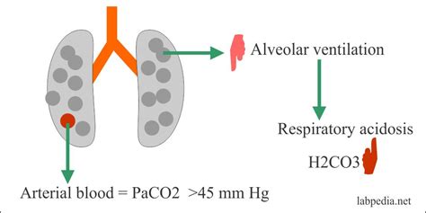 acid base balance part 2 respiratory acidosis and respiratory