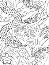 Colouring Joanna Webster sketch template