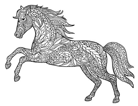 equine horse color pages   ages  activity