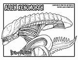 Facehugger Drawing Xenomorph sketch template