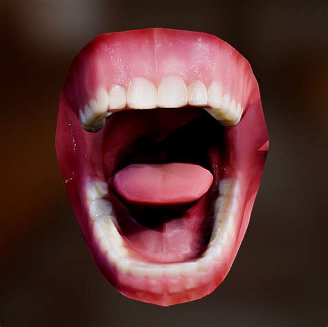 Human Mouth Lowpoly 3d Model Cgtrader